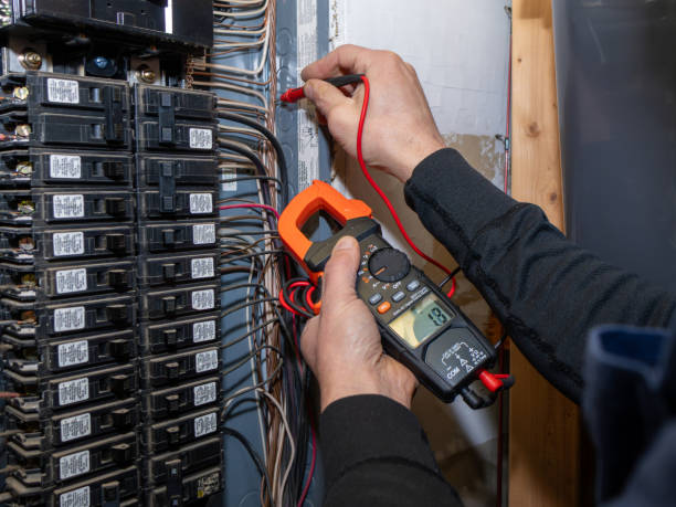 Best Electric Panel Repair  in Trabuco Nyon, CA